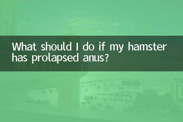 仓鼠脱肛了怎么办