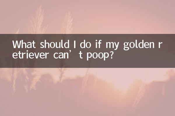 金毛拉不出屎怎麼辦