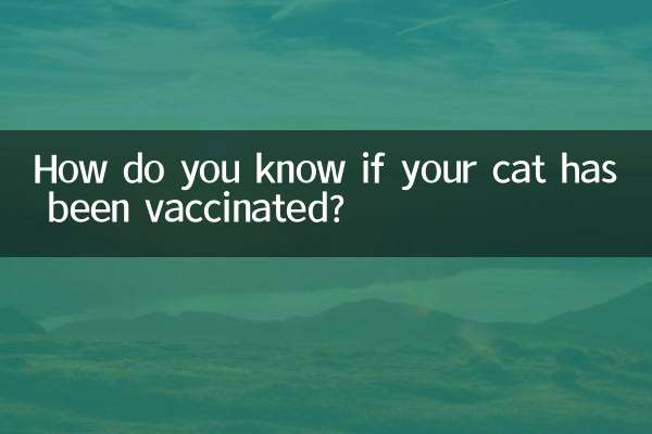 Come fai a sapere se il tuo gatto è stato vaccinato?