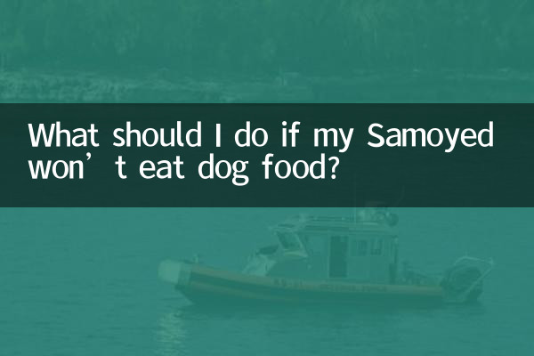 サモエドがドッグフードを食べない場合はどうすればよいですか?