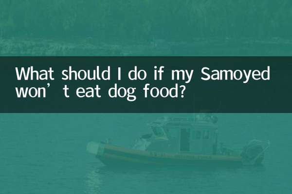 サモエドがドッグフードを食べない場合はどうすればよいですか?