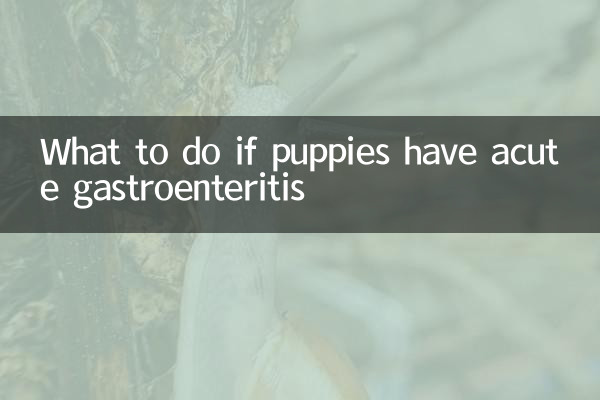 幼犬急性腸胃炎怎麼辦