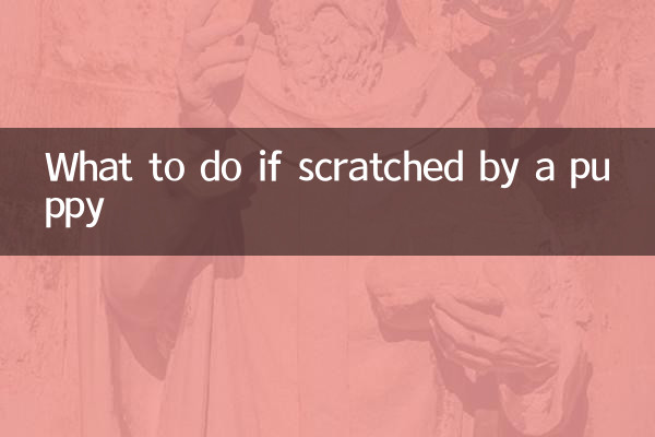 被幼犬刮伤怎么办