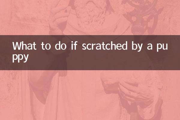 被幼犬刮伤怎么办