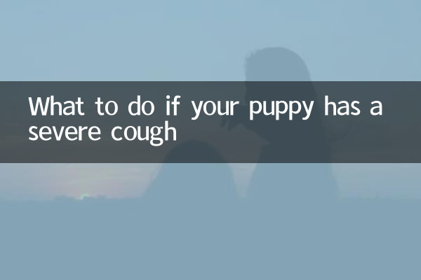幼犬咳嗽严重怎么办