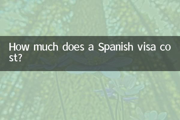 스페인 비자 비용은 얼마입니까?