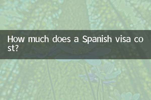 একটি স্প্যানিশ ভিসার খরচ কত?