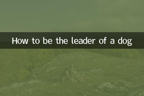 犬のリーダーになる方法