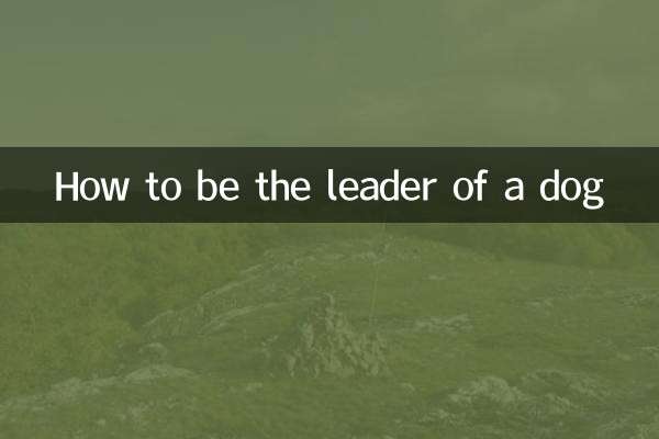 کتے کا قائد کیسے بننا ہے