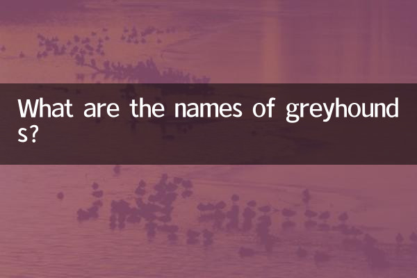 格力犬取什麼名字大全