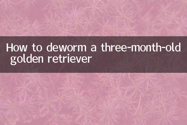 生後3か月のゴールデンレトリバーの駆虫方法
