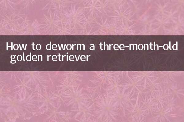 生後3か月のゴールデンレトリバーの駆虫方法