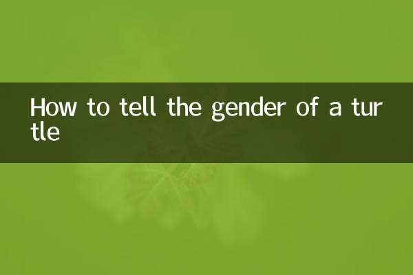 거북이의 성별을 구별하는 방법