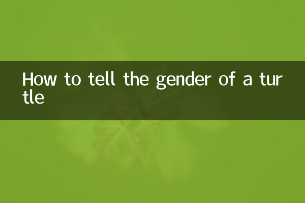 কচ্ছপের লিঙ্গ কিভাবে বলবেন