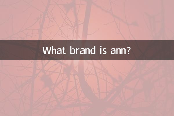 앤은 어떤 브랜드인가요?