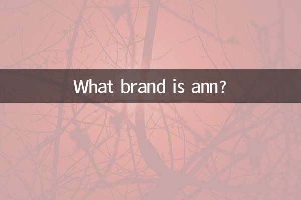앤은 어떤 브랜드인가요?