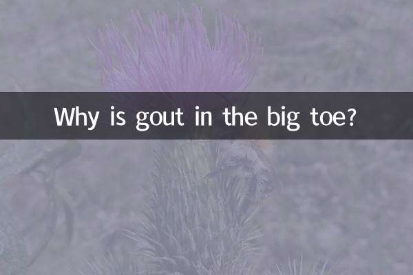 Por que a gota está no dedão do pé?