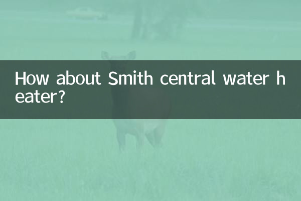 Che ne dici dello scaldabagno centrale Smith?