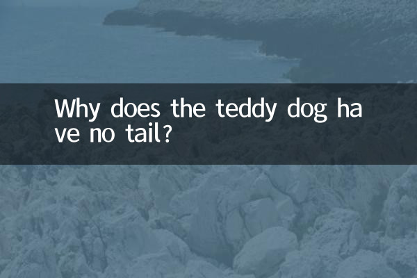 টেডি কুকুরের লেজ নেই কেন?
