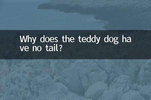 টেডি কুকুরের লেজ নেই কেন?