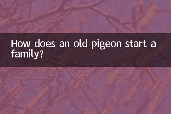 ¿Cómo forma una familia una paloma vieja?