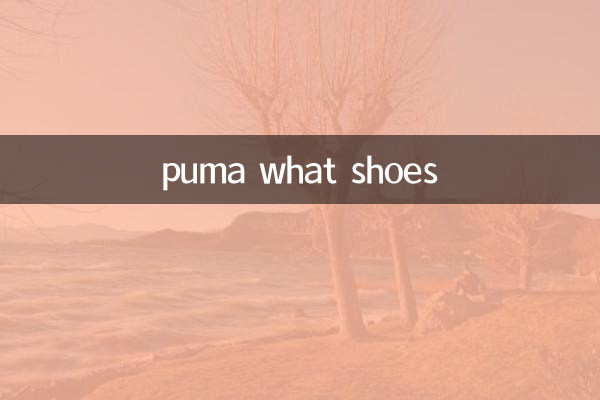 puma quelles chaussures