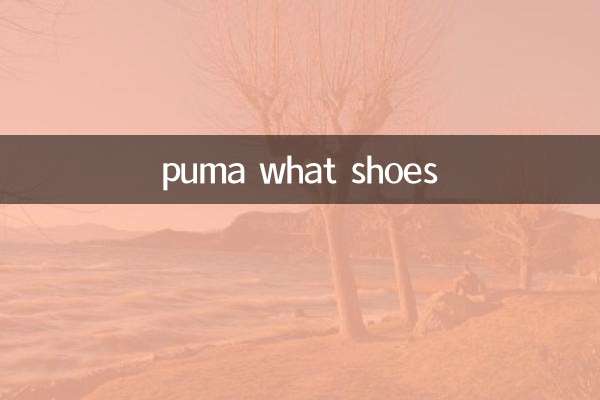 puma quelles chaussures