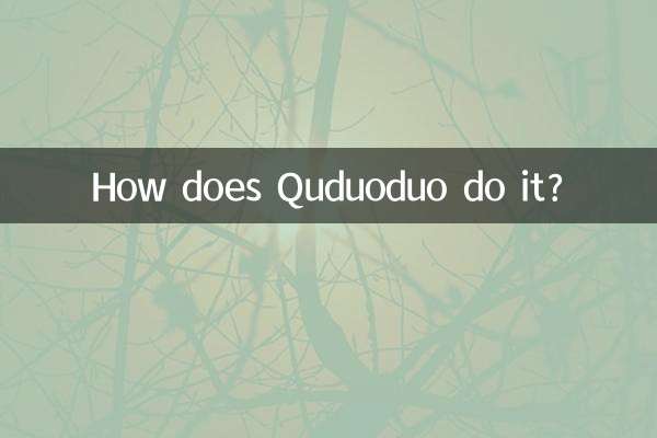 Wie macht Quduoduo das?