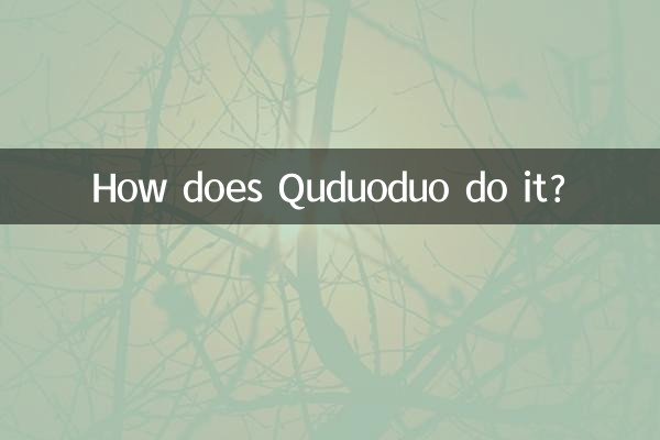 Wie macht Quduoduo das?