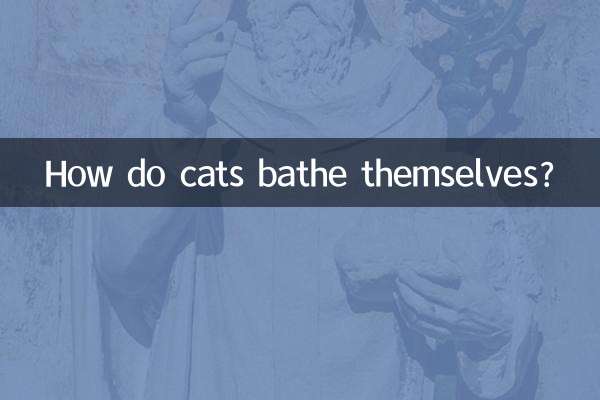 Как кошки купаются?