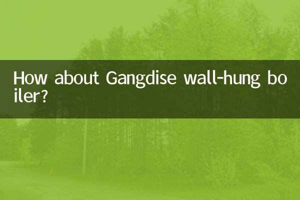 ماذا عن غلاية Gangdise المعلقة على الحائط؟