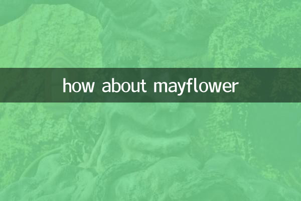 Wie wäre es mit Mayflower?