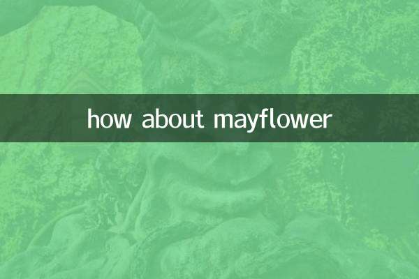 ماذا عن ماي فلاور