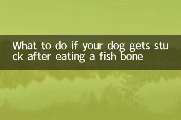 개가 생선 뼈를 먹은 후 갇히면 어떻게 해야 할까요?