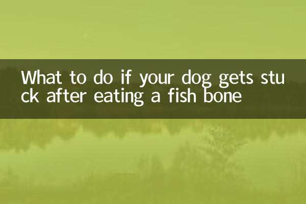 Cosa fare se il vostro cane rimane bloccato dopo aver mangiato una lisca di pesce?