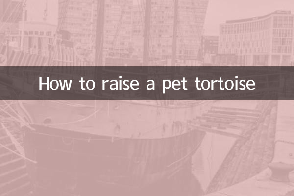 애완 거북이를 키우는 방법