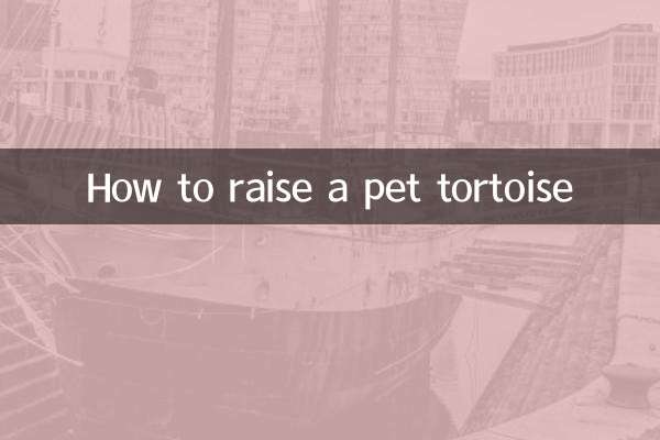 How to raise a pet tortoise