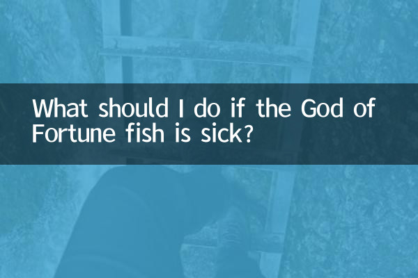 Что делать, если заболела рыба Бог удачи?