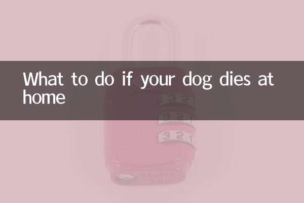 家中狗狗死了怎么处理