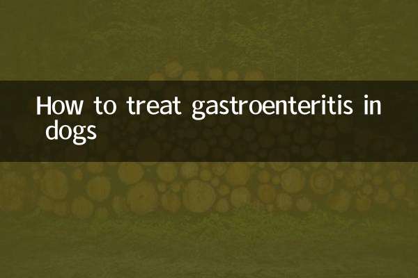 狗的腸胃炎怎麼治
