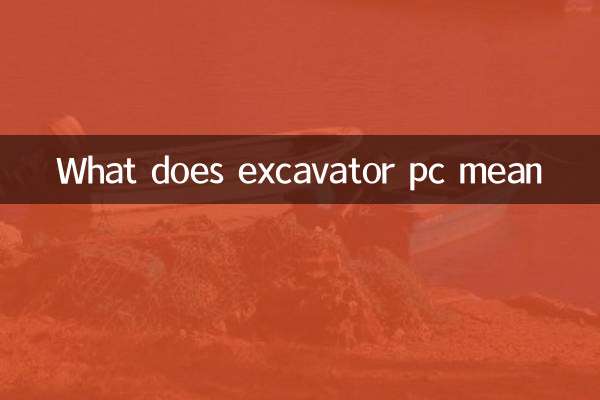 Was bedeutet Bagger -PC?