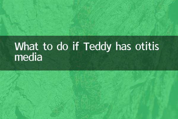 O que fazer se Teddy tiver otite média