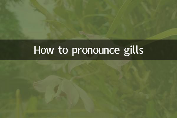 Como pronunciar brânquias