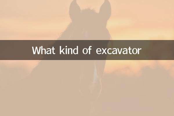What kind of excavator