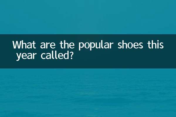 इस वर्ष के लोकप्रिय जूते क्या कहलाये?