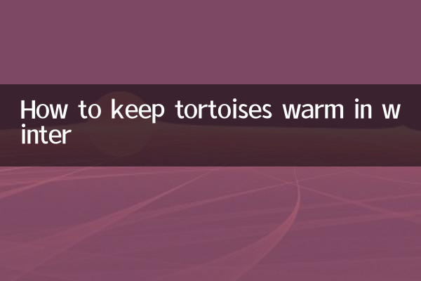 So halten Sie Schildkröten im Winter warm