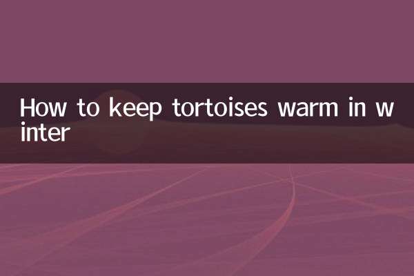 So halten Sie Schildkröten im Winter warm