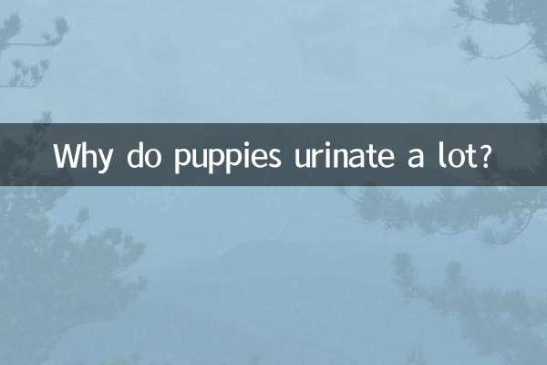 Why do puppies urinate a lot?