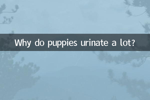 Why do puppies urinate a lot?