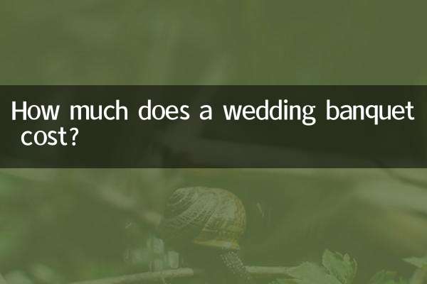 How much does a wedding banquet cost?